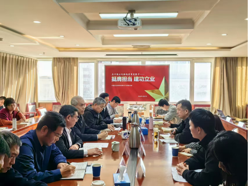 中国石化联召开青年工作座谈会(图2)