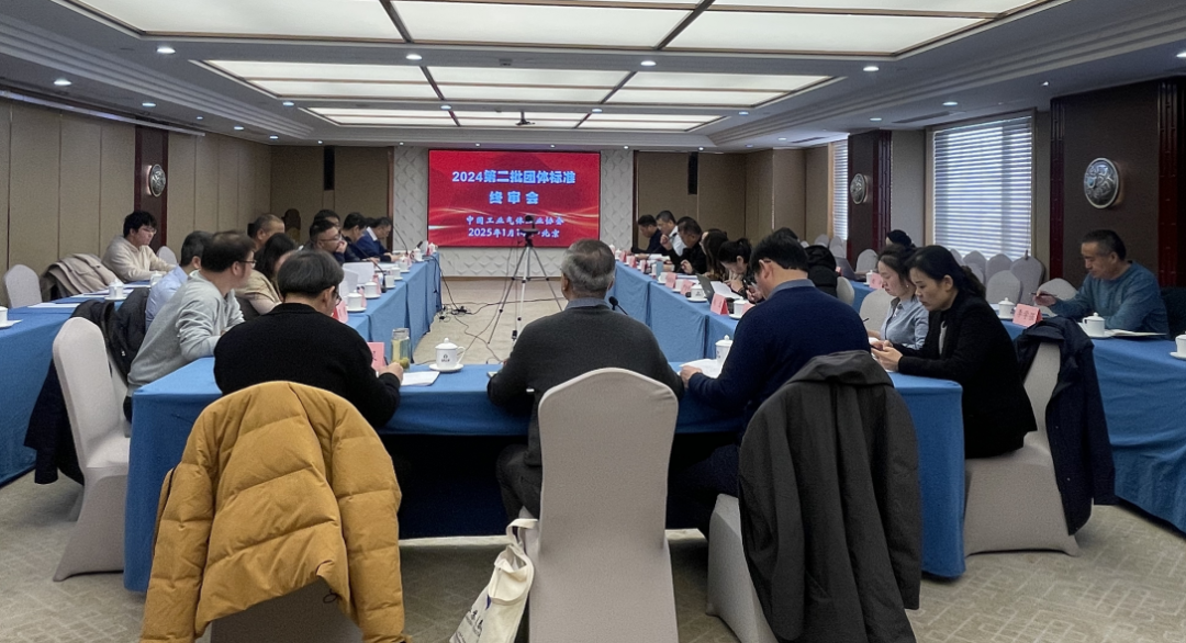 中国气体协会2024年第二批团体标准终审会在北京召开(图1)