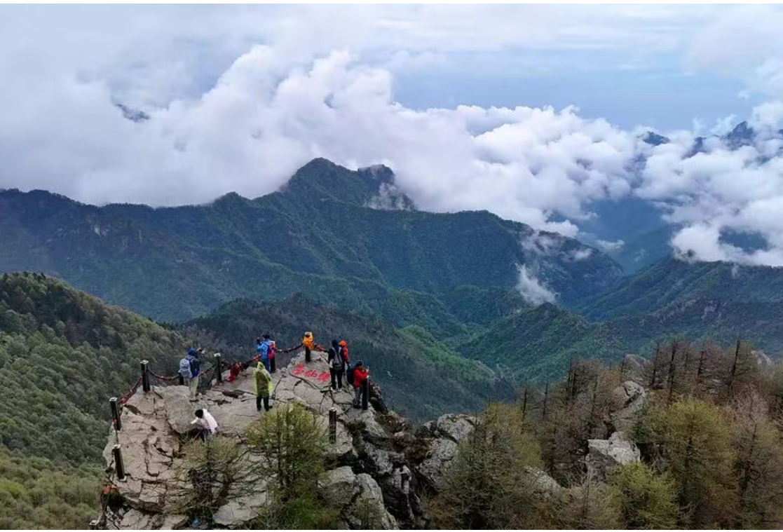 习近平总书记引导树立和践行正确政绩观的故事(图4)