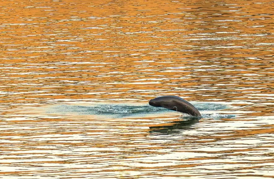 习近平总书记引导树立和践行正确政绩观的故事(图6)